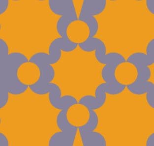 Fruit Works - Apricot + Blackcurrant