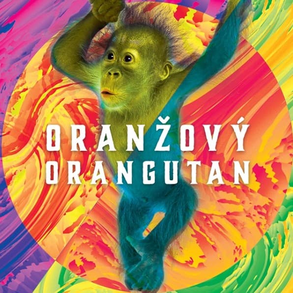 Oranžový orangutan