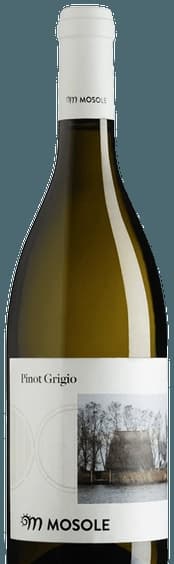 Pinot Grigio