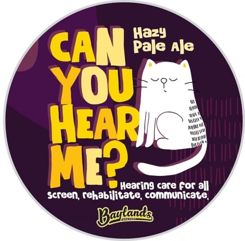 Can You Hear Me?