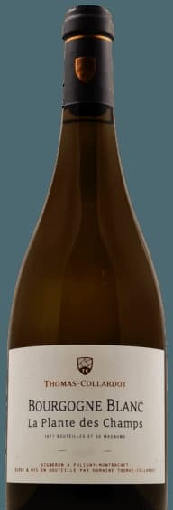 La Plante des Champs Bourgogne Blanc
