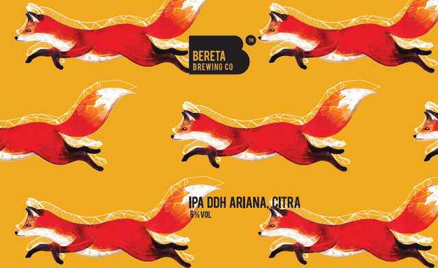 IPA DDH Ariana, Citra