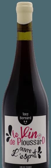 Le Vin de Ploussard Ouvre L'Esprit