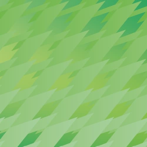 Palm Trees