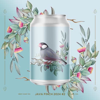 Java Finch 2024 #2
