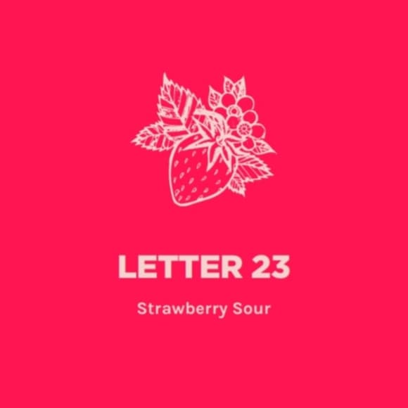 Letter 23