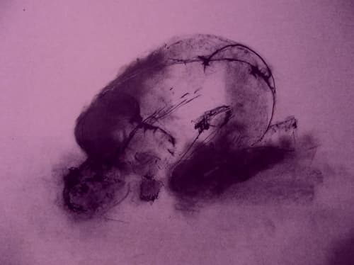 Blackcurrant