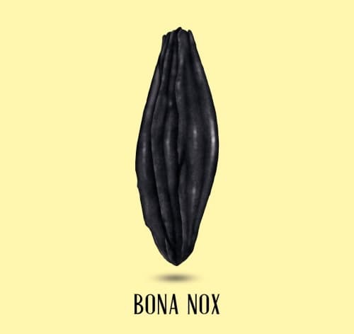Bona Nox