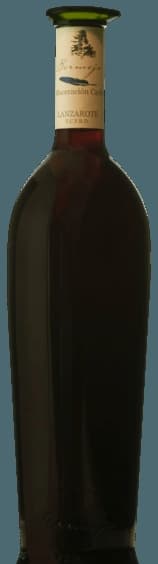 Listán Negro Maceración Carbónica