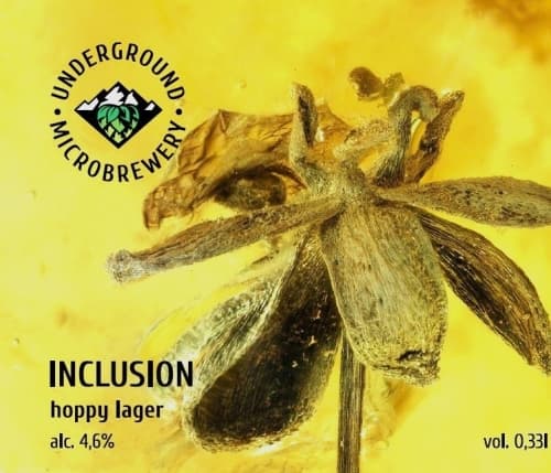 Inclusion