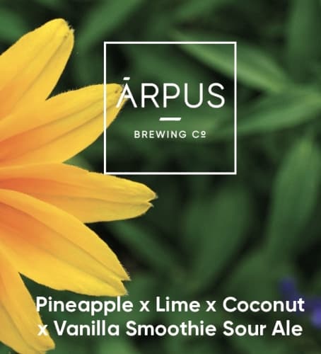 Pineapple X Lime X Coconut X Vanilla Smoothie Sour Ale