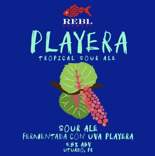 PLAYERA Tropical Sour Ale