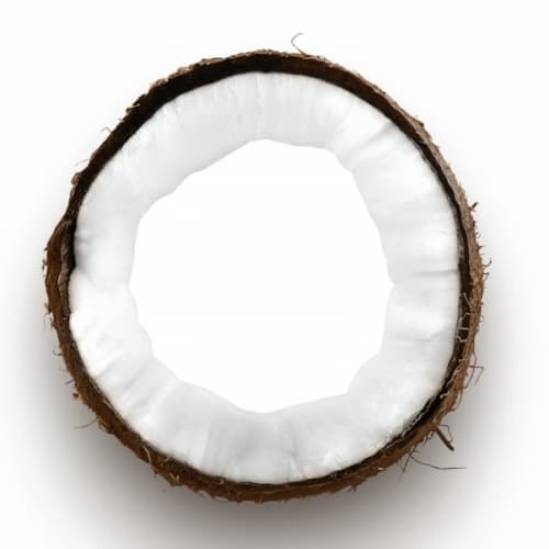 Coconuts