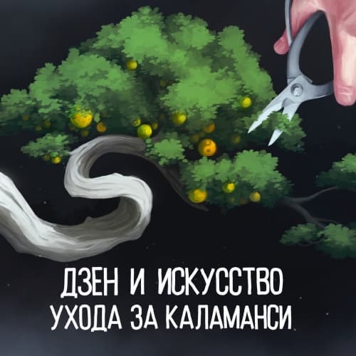 Дзен и искусство ухода за каламанси \ Zen & the art of calamansi maintenance