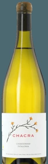 Chardonnay