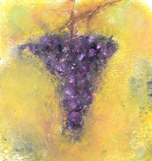 Dr. Jenner's Muscat Vine