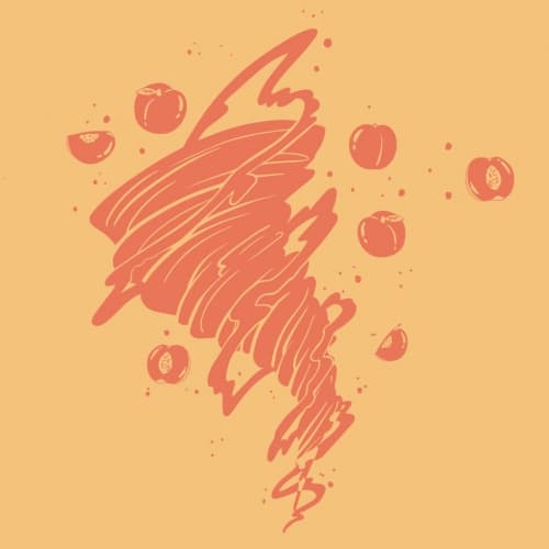 Blender (Peach)