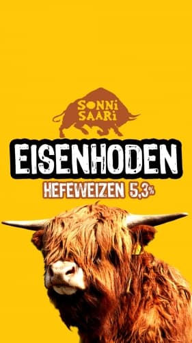 Eisenhoden