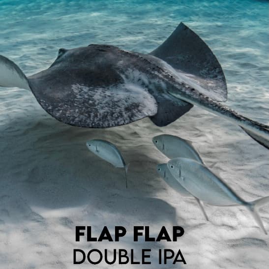 Flap Flap
