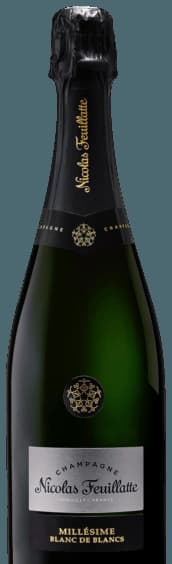Collection Vintage Blanc de Blancs Brut Millésimé Champagne