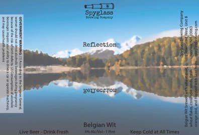 Reflection