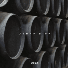 Jaune D'or (2023)