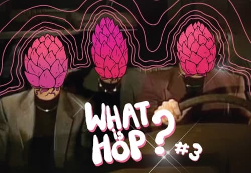 What Is Hop #3