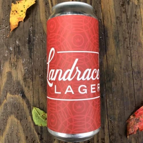 Landrace Lager