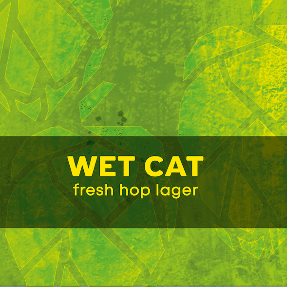 Wet Cat