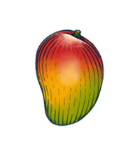 BON V!V Mango