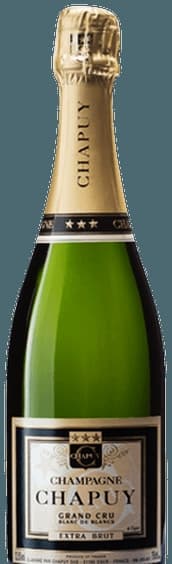 Blanc de Blancs Extra Brut Champagne Grand Cru 'Oger'