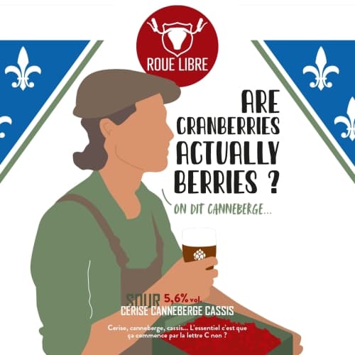Are Cranberries Actually Berries ?