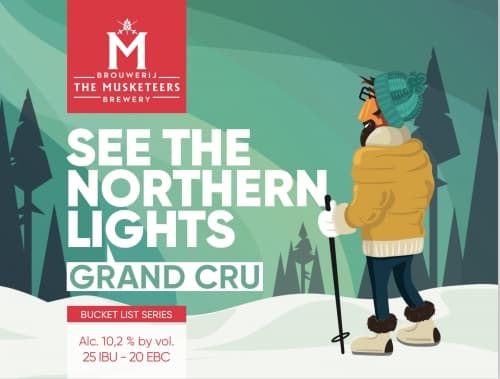 See the Northern Lights