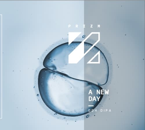 A New Day