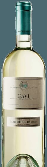 Gavi