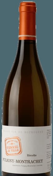 Puligny-Montrachet