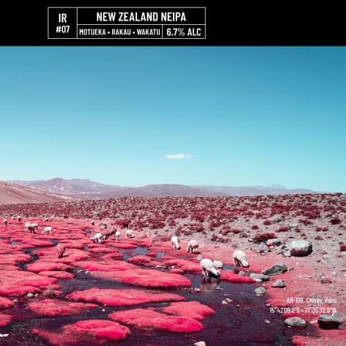 IR#07 - New Zealand NEIPA