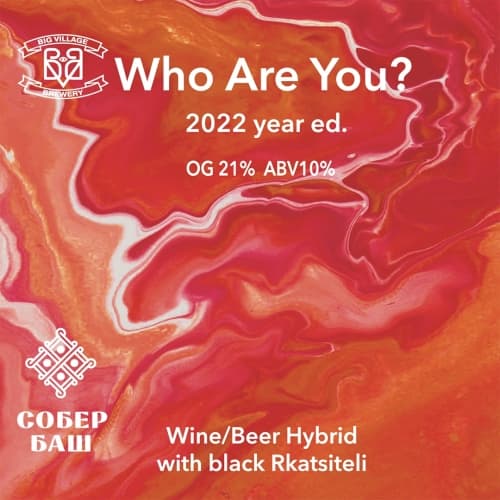 Who Are You? (2022 Year Ed.)