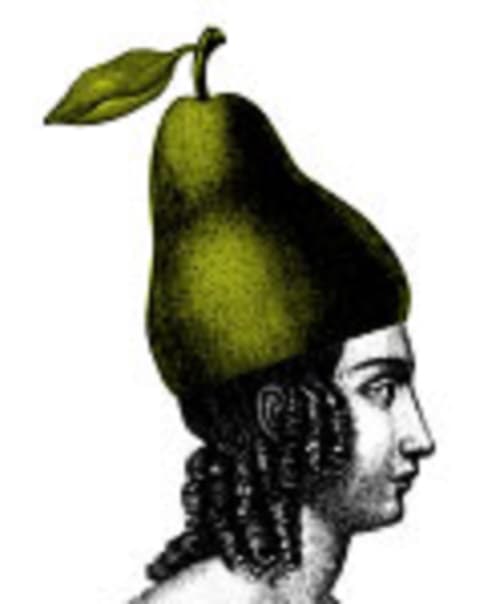 Pear Cider