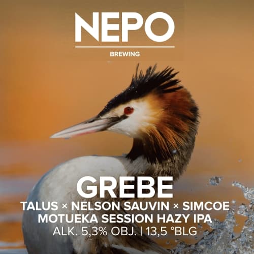 Grebe