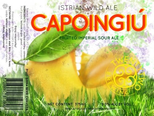Capoingiu-Fruited Imperial Sour ale