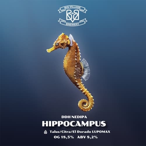 HIPPOCAMPUS