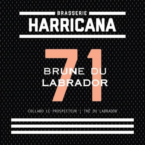 71 - Brune Du Labrador