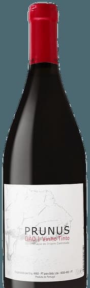 Tinto