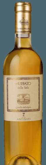 Castello della Sala Muffato della Sala