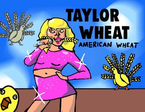 Taylor Wheat