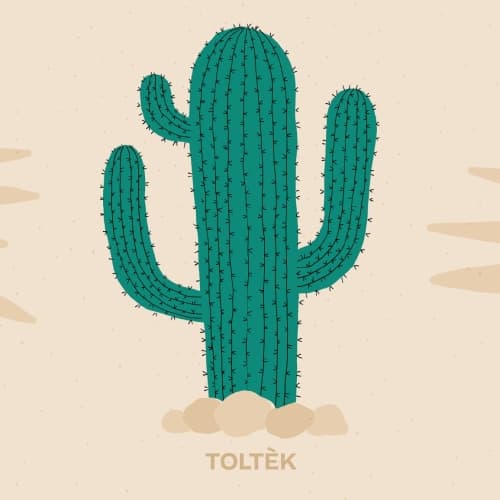 Cactus: Épine 11