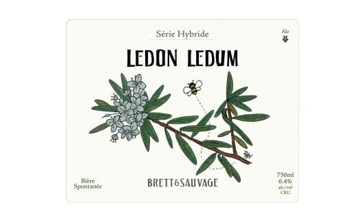 LEDON LEDUM V2