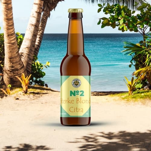 №2 Sterke Blonde Citra / Belgian IPA