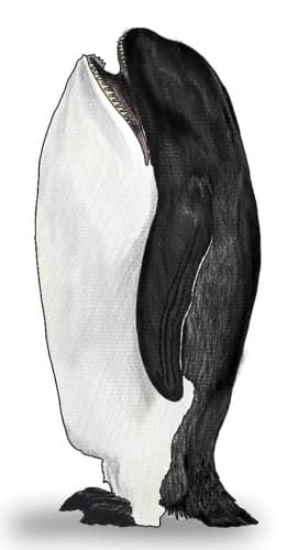 Whaleguin